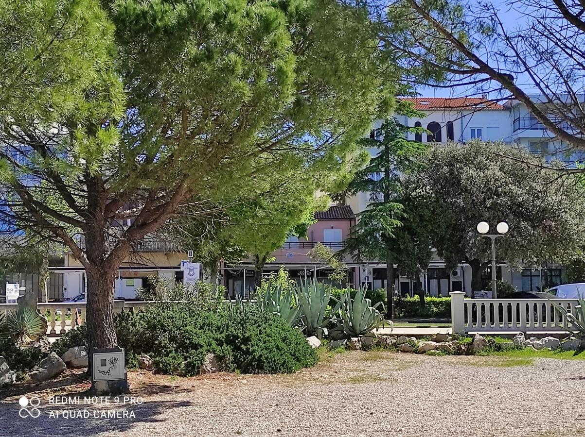 Apartment Stella ซริกเวนิซา ภายนอก รูปภาพ